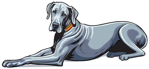 Chancey & Reynolds dog